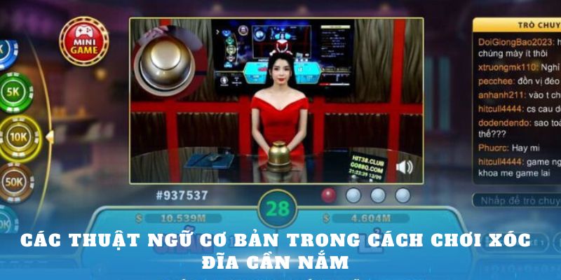 Các thuật ngữ cơ bản trong cách chơi xóc đĩa cần nắm