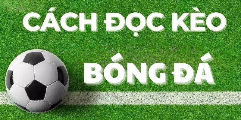 Cách đọc kèo 2 trái cho tất cả mọi người