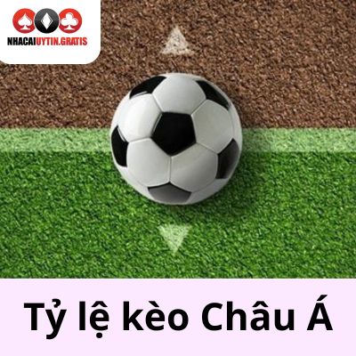 ty-le-keo-chau-a-ava